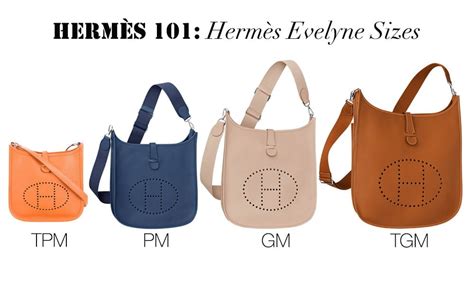 hermes evelyne leather types|the evelyne bag hermes.